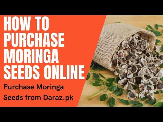 Moringa Seeds for Sale | Sohanjna Plant | How to Purchase Organic Moringa Seeds online from Daraz