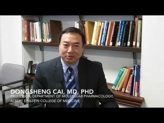 Dongsheng Cai, MD, PhD, Discusses His Work in Aging Research