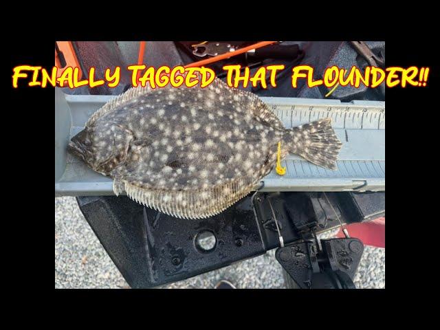 Mission Accomplished **First Southern Flounder Tagged**