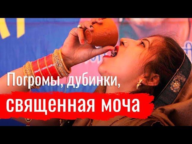 Даниэль Жованас о карантине в Индии  // По-живому