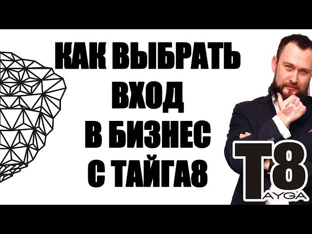 КАК ВЫБРАТЬ ВХОД В БИЗНЕС ТАЙГА8 | СРАВНЕНИЕ БИЗНЕС И БАЗОВОГО ВХОДА