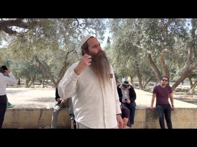 הקשר העמוק בין פורים למקדש | הרב אריה ליפו