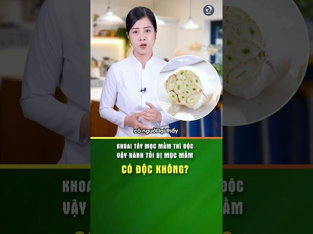 Hành tỏi mọc mầm có độc không? - KHOẺ TỰ NHIÊN