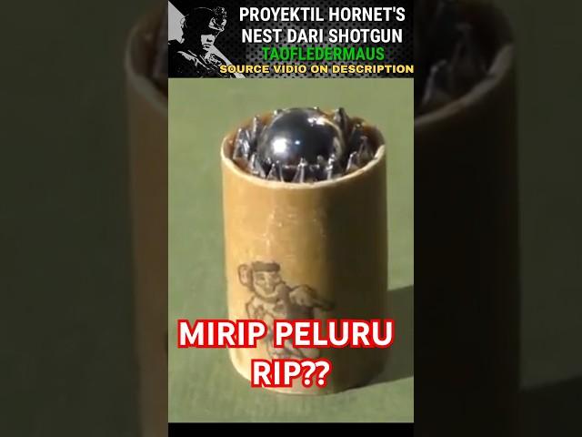 peluru shotgun ini memiliki kecepatan dan impact yang gula⁉️