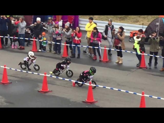 Wild Runner Cup 6th , 4 years old , Final race , Strider racing in Japan