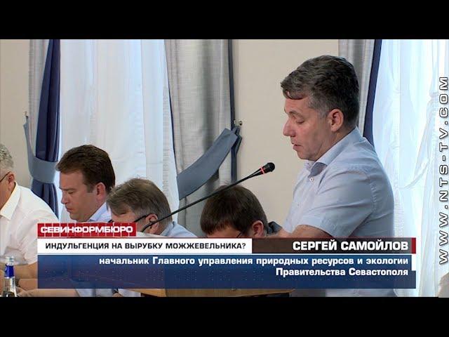 Правительство Севастополя снова предложит рассмотреть закон, угрожавший краснокнижным деревьям
