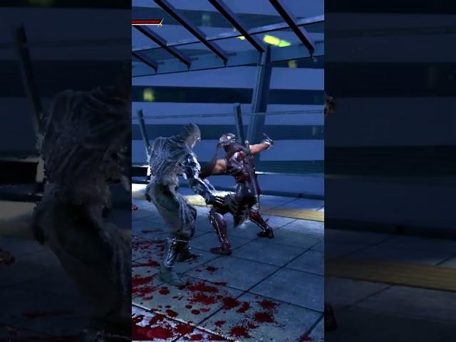 What's The BIGGEST Mistake in Ninja Gaiden 2 Black