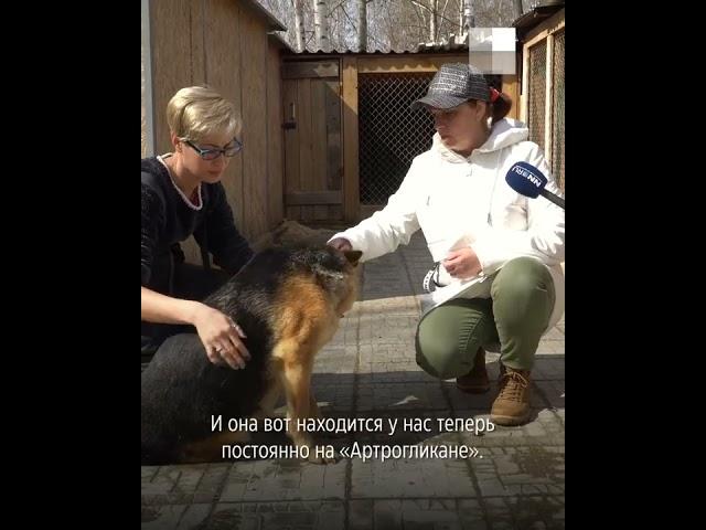 О нас в СМИ