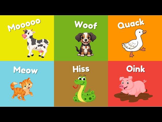 Animal Sounds Song | Best Animal Sounds Song for Kids | Baby Song