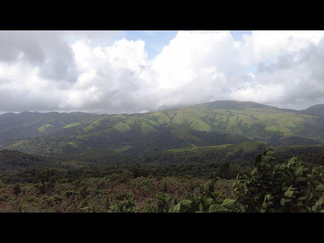 Relaxing nature view /CoorgExplorer/ 4k relaxing video