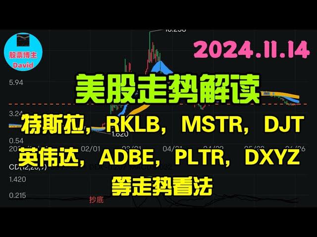 11月14日，美股即时走势解读，特斯拉、RKLB，GME、ASTS、DXYZ、英伟达、PLTR、DJT等走势看法️️ #美股推荐2024 #英伟达股票 #特斯拉股票 #美股投资 #美股大涨 #中概