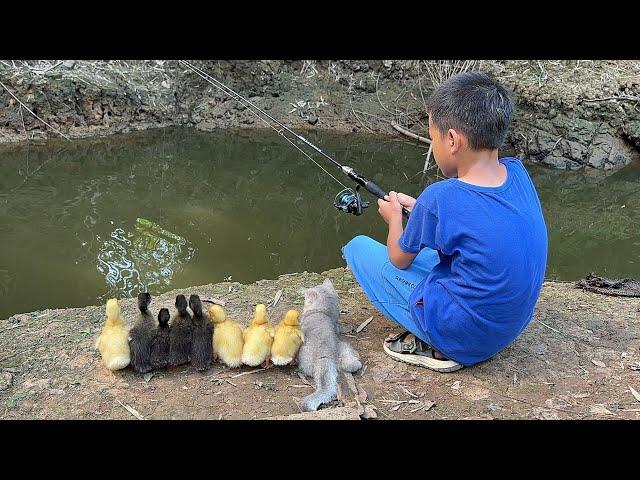 cute pet is so healing! The kitten takes the duckling to swim and fish,what a qualified mother duck