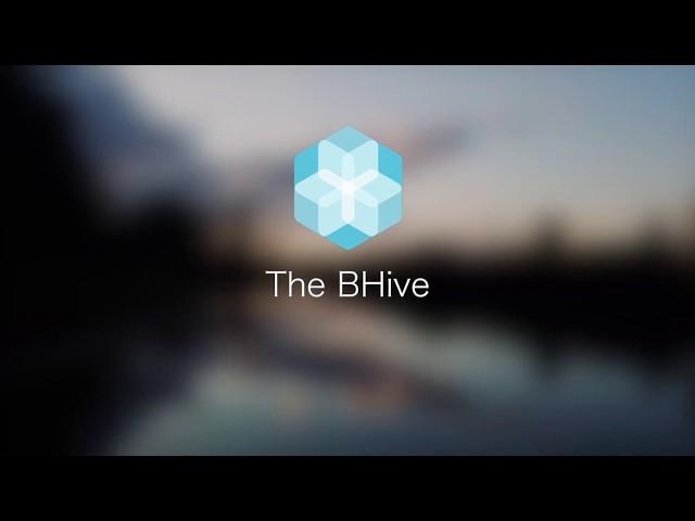 The BHive