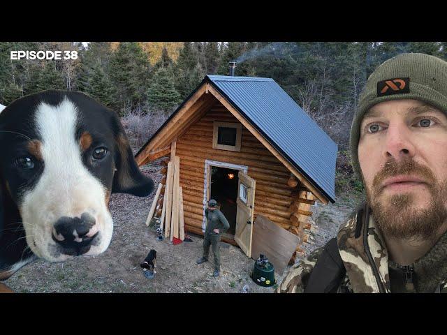 Log Cabin Build on Off-Grid Homestead |EP38| DOG, MOVE-IN, WOODSHED FOUNDATION