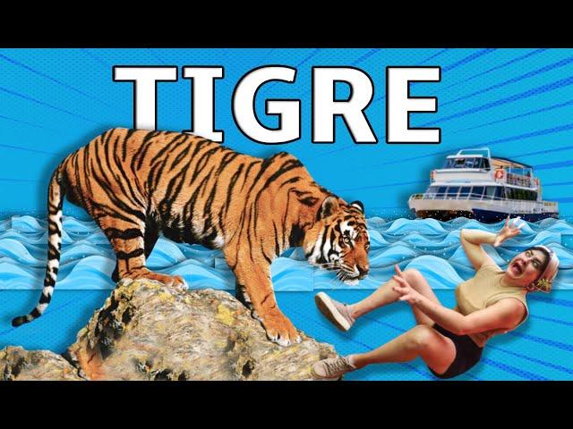 Como ir e o que fazer em TIGRE - Buenos Aires