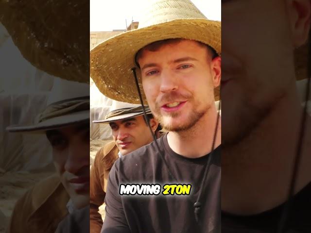 Unearthing History  Skeletons of Ancient Pyramid Builders | MrBeast | ViralPulse