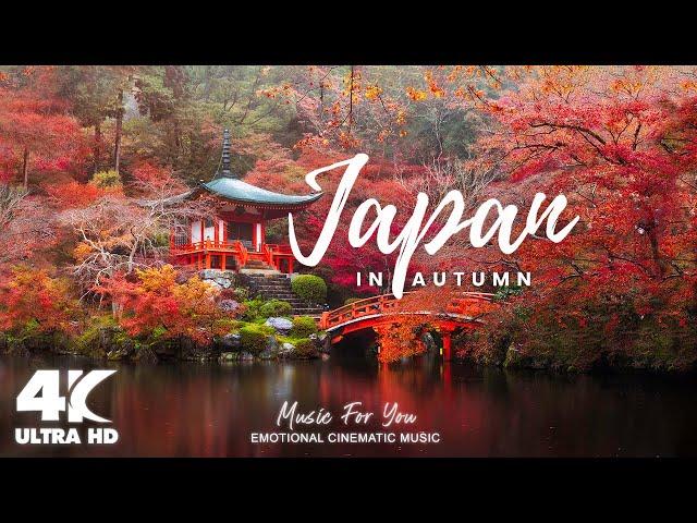 Autumn Japan 4K - Beautiful Scenic Landscape, Japan 4K Autumn Nature Relaxation Film