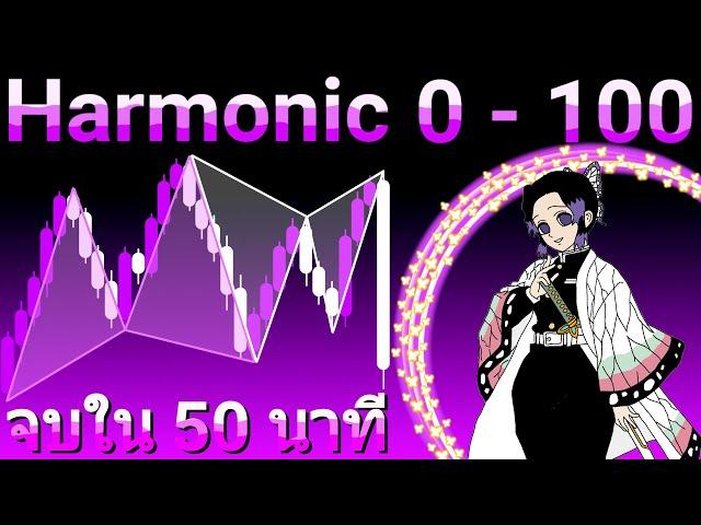 สอน Harmonic Pattern ตั้งแต่ 0-100 ครบจบใน 50 นาที! สอนเทรด Harmonic | สอนเทรด 0-100 เดอะซีรี่ย์