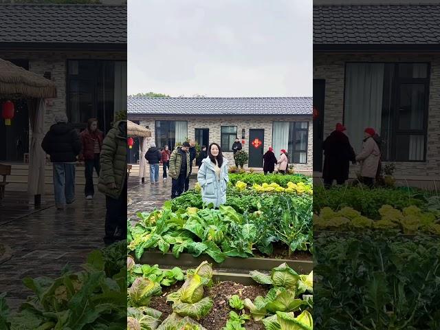 今天李家小院民宿来了东北的客人，吃住都很满意农家小院 我的小菜园 乡村民宿 李家小院 @李家小院(马泉线)