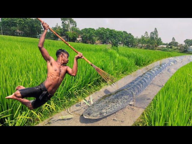 Top Fishing Video 2023  Experts Fisherman Big Fish Catching In Water Drain  Best Fishing Video