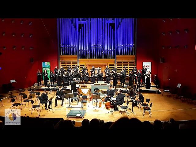 Introitus: "Das Leiden unseres Herren Jesu Christi" Heinrich Schütz | JSB Ensemble (H.-C. Rademann)