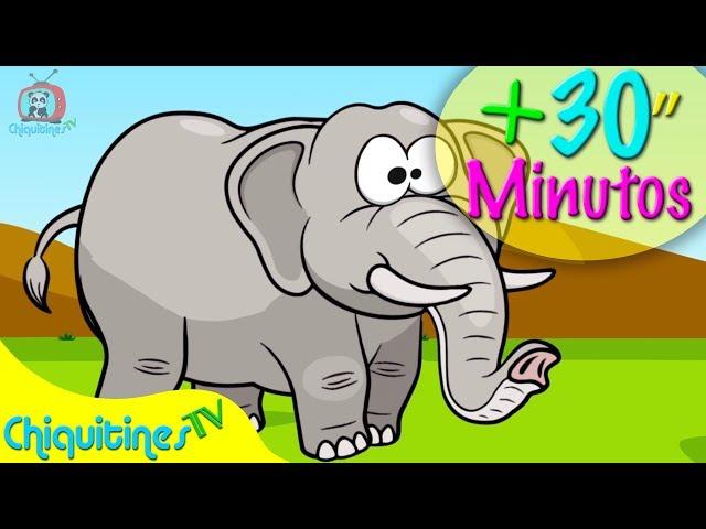 El Elefante Camina hacia Adelante Mas 30 minutos de Música Infantil