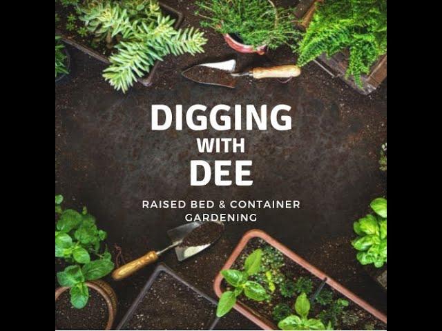 How to Grow Potatoes in Grow Bags - Digging With Dee - Episode 4