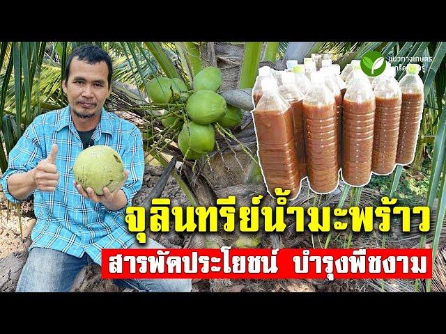 จุลินทรีย์น้ำมะพร้าว สารพัดประโยชน์