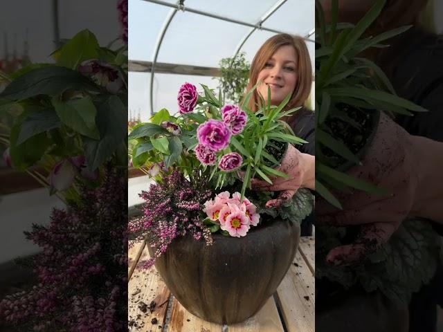 First spring container! Yay! 