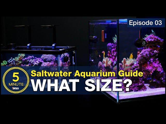 The secret to selecting the right size and shape for your first saltwater aquarium. Choose wisely!