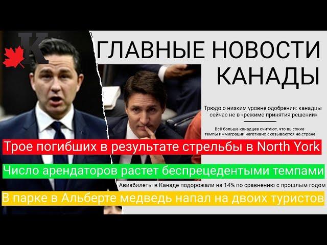 Новости: Стрельба в Торонто - 3 погибли; Поколение арендаторов; Медведь напал на туристов и еще