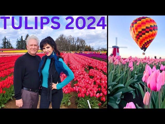 TULIPS! THE WOODEN SHOE TULIP FARM  2024