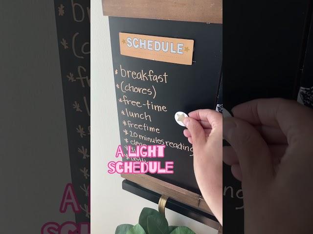 Revolutionize Your Home with 1Thrive | Family Organization Made Easy #homeorganization #organize