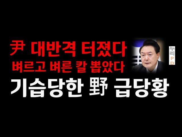 윤석열  반격 개시/헌정사 최초 대통령 끝장 기자회견 충격 수용/기습당한 野 급당황/누리pd-tv