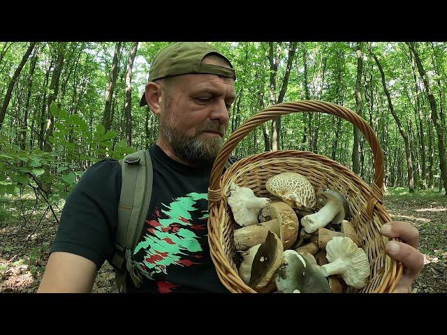 ГРИБИ трудові!..Але БІЛЯЧКИ потішили..Суботній ГРИБНИЙ похід червень 2025