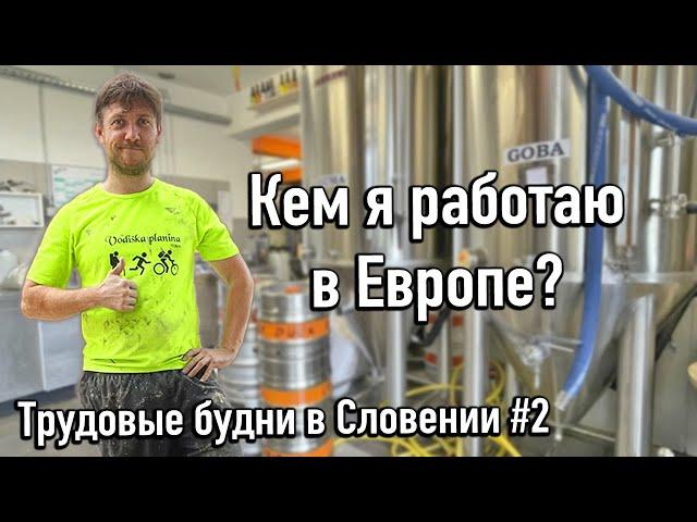 Кем я работаю в Европе и сколько зарабатываю. Трудовые будни в Словении #2