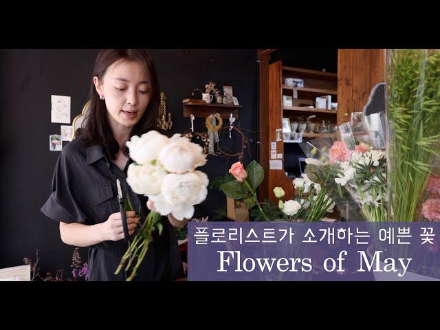 요즘 예쁜 꽃 뭐가 있을까요? 플로리스트가 추천하는 5월의 꽃 ... #summerflowers recommended by a florist