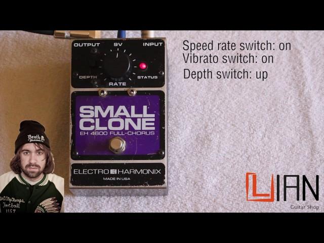 Small Clone with Speed rate and Vibrato mod - Electro Harmonix Demo/review