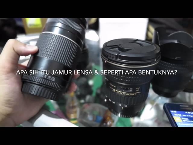 MEMAHAMI APA ITU JAMUR LENSA & BENTUK JAMUR PADA LENSA KAMERA DSLR