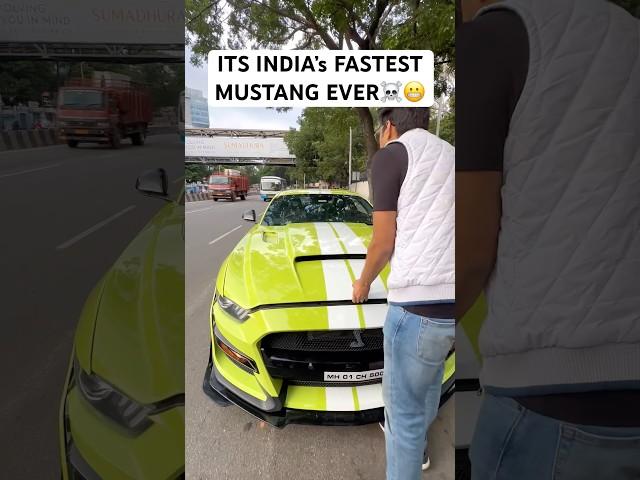 700HP+ MUSTANG GT!!