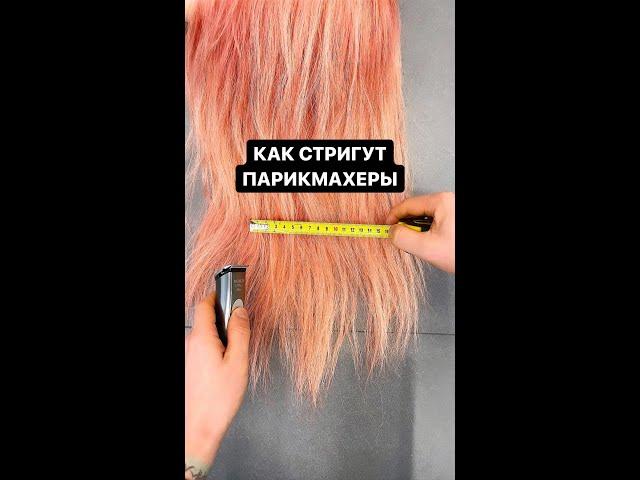 Хотите научиться стричь, но не знаете с чего начать? Читайте первый комментарий