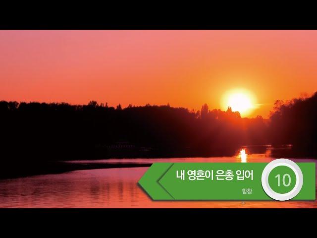 [중앙아트] ‘하나님의 시선 7집’ 10. 내 영혼이 은총 입어 - 합창