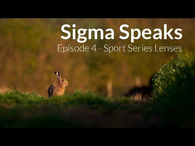 Sigma Speaks with Wilkinson Cameras // EP:4 - Sport Series Lenses