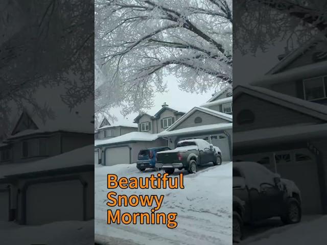 "Calgary's Stunning Winter Morning | -11°C Frosty Vlog | Vlog #11"