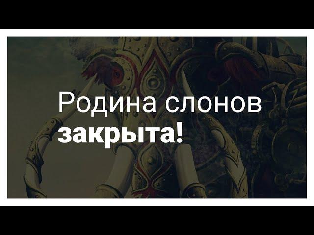 "Родина слонов" закрыта. Обращение Михаила Родина