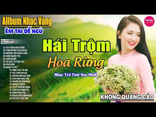 Hái Trộm Hoa Rừng  LK Nhạc Vàng Xưa Hay Nhất Nhẹ Nhàng Sâu Lắng, Nghe Thử Một Lần Bạn Sẽ Nghiện