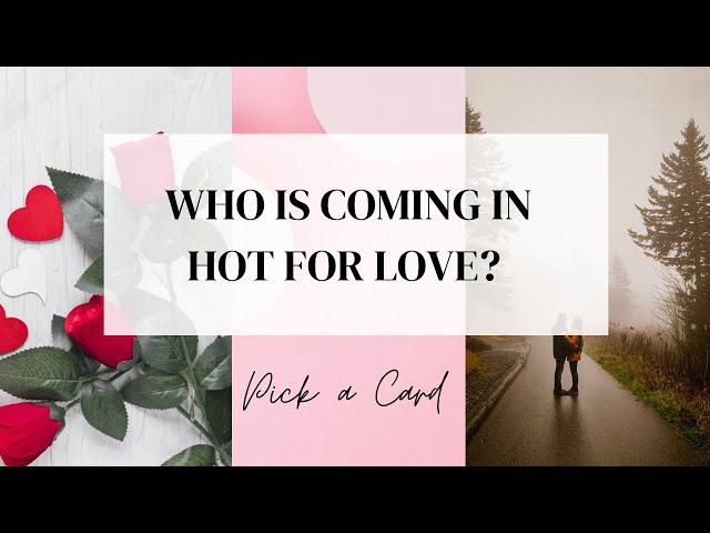 Pick a Card  WHO IS COMING IN HOT FOR LOVE?!  Timeless Tarot Card Reading!!!