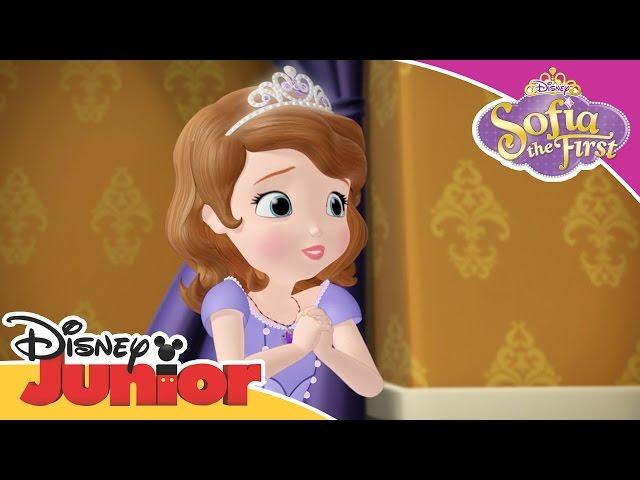 Sofia the First - Amber the Princess Butterfly | Official Disney Junior Africa