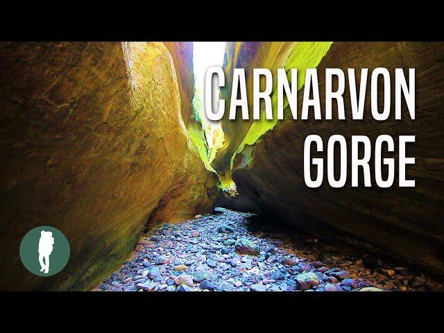 Carnarvon Gorge | Queensland | Australia Nature | Beautiful Landscapes