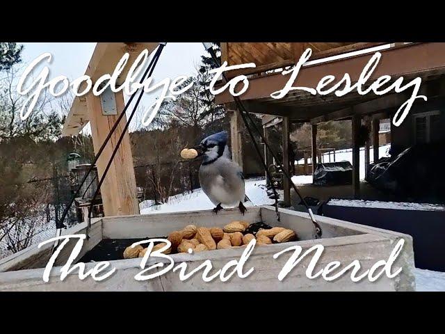 Goodbye to Lesley the Bird Nerd and Happy Birding!